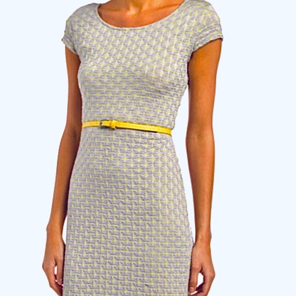 ✨NWT✨🏷Sharagano: Gray/Yellow Belted Cap-Sleeve Sheath Dress - Picture 10 of 11